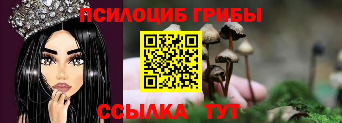 Галлюциногенные грибы GOLDEN TEACHER  Вход с VPN  Полевской 